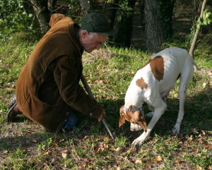 dimostrazione ricerca del tartufo